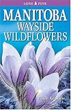 Manitoba Wayside Wildflowers