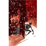 Batgirl:Destruction'sDaughter