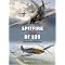 Bone Up on the Battle of Britain