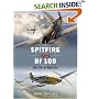 Spitfire vs Bf 109: Battle of Britain (Duel)