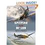 Spitfire vs Bf 109: Battle of Britain (Duel)