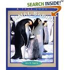 Animal Babies (True Books: Animals) by  Ann O. Squire