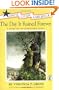 The Day It Rained Forever: A Story of the Johnstown Flood (Once Upon America)