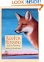 Red Fox Running