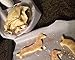 Exclusive Dachshund Dog Cookie Cutter, Real Dachshund Shape 6