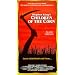 Children of the Corn [VHS]