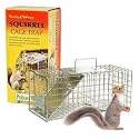 HUMANE SQUIRREL SMALL ANIMAL RODENT CAGE TRAP
