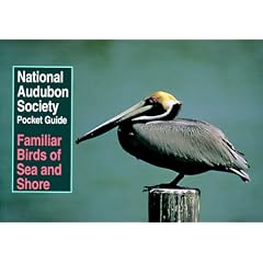 National Audubon Society Pocket Guide to Familiar Birds of Sea and Shore (Audubon Society Pocket Guides)