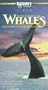 In the Company of Whales [VHS]