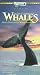VHS : In the Company of Whales