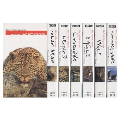 ����������� �������� ������ " BBC.Wildlife.Specials " �����   ������� 51JEX83C4XL._SS500_.