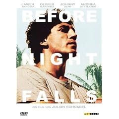 Before Night Falls