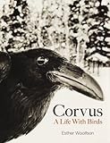 Corvus : a life with birds