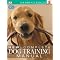 Helpful Canine Care, training and Management Books