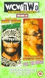 Review Warner Home Video  / WCW Compilation - Superstars Series: Vol. 3 - Randy Savage / Dallas Page