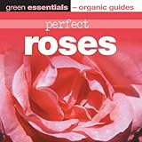 Perfect roses