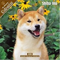 Shiba Inu 2008 Wall Calendar