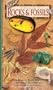 A Guide To Rocks & Fossils