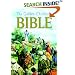 The Golden Children's Bible