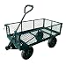 Sandusky Lee CW Steel Crate Wagon, Green, 400 lbs Load Capacity, 21-3/4" Height, 34" Length x 18" Width