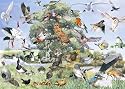 Jumbo Puzzle - Bird Collage (1000 pieces)