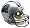 Carolina Panthers