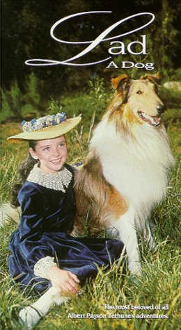 Lad a Dog [VHS] [Import]