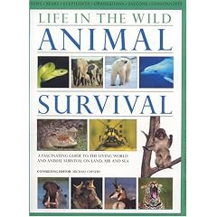 Life in the Wild: Animal Survival