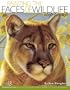 Painting the Faces of Wildlife Step by Step