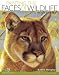 Painting the Faces of Wildlife: Step by Step