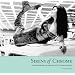 Sirens of Chrome: The Enduring Allure of Auto Show Models