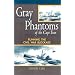 Gray Phantoms of the Cape Fear : Running the Civil War Blockade