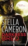 Darkness Bred (Chimney Rock)