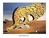 Posters: Salvador Dali Poster Art Print - The Enigma Of Desire: My Mother, My Mother, My Mother, 1929 (20 x 16 inches)