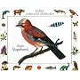Bunte Vogelwelt: Malbuch von Walter Etschmann