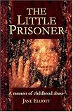 Little Prisoner, The: How a Childhood Was Stolen and a Trust Betrayed