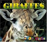 Giraffes