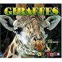 Giraffes