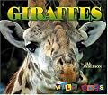 Giraffes
