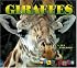 Giraffes