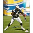 Tim Dobbins (San Diego Chargers) Signed Autographed 8x10 Photo (PSA/DNA COA)