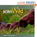 Born Wild in Y'Stone & Grand Teton