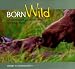 Born Wild in Yellowstone and Grand Teton National Parks