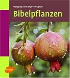 Bibelpflanzen kennen und kultivieren - Wolfgang Kawollek, Henning Falk
