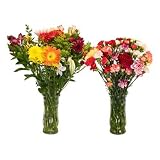 Half and Half Flower Bouquet - 2 Kinds of Fresh Cut Flower Bouquets - 50 Stems Total