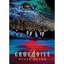 Crocodile 2: Death Swamp