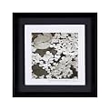 Delight in Beauty Framed Art