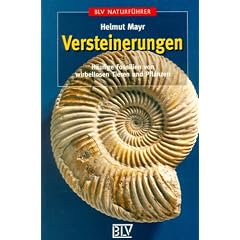 Versteinerungen: H�ufige Fossilien von wirbellosen Tieren und Pflanzen