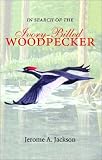In Search of the Ivory-Billed Woodpecker