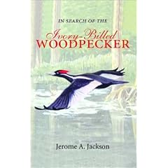 In Search of the Ivory-Billed Woodpecker